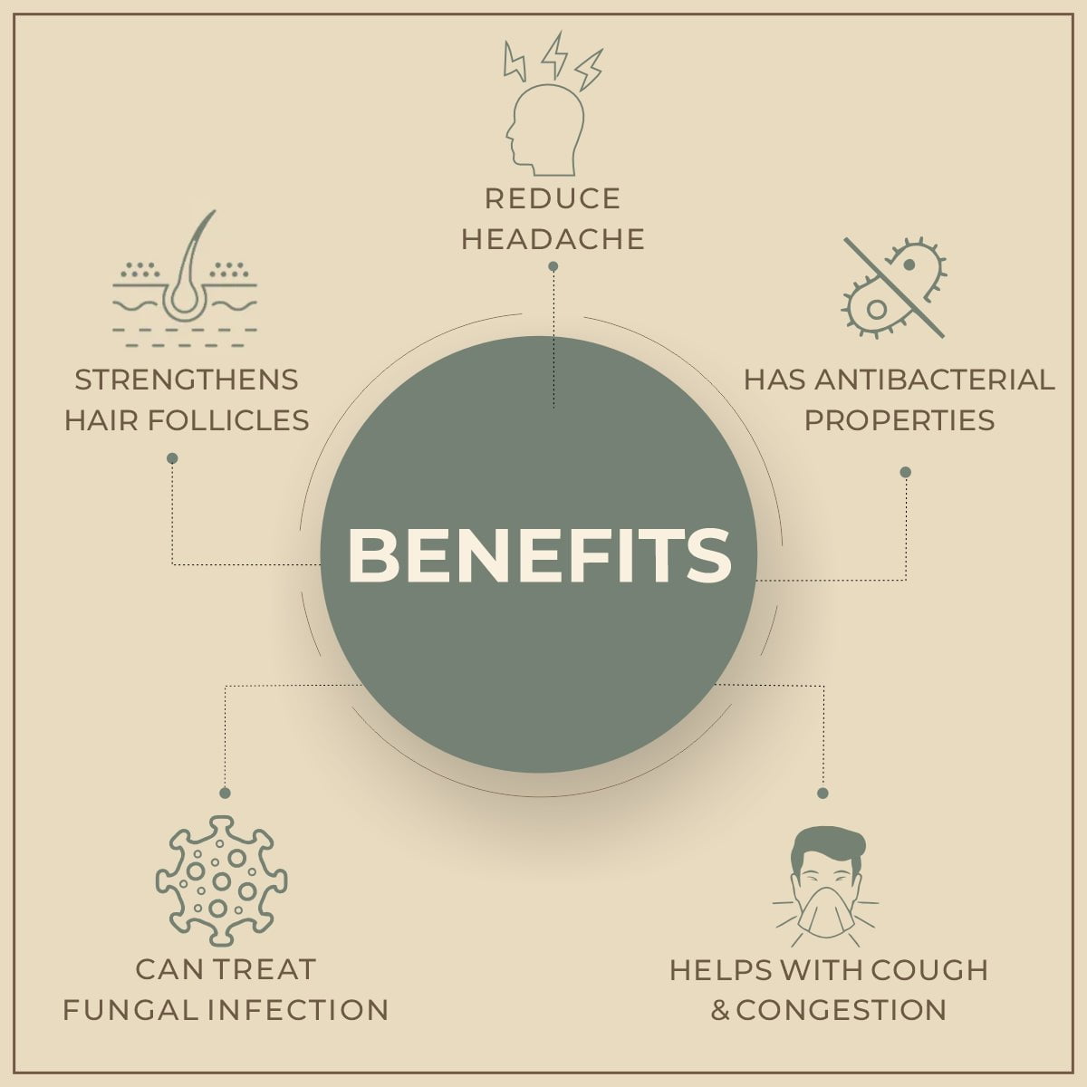 Salvia Natural Essential Oils Cajeput Oil (Melaleuca leucadendron) 100% Natural Pure Essential Oil Salvia Natural Essential Oils Cajeput Oil (Melaleuca leucadendron) 100% Natural Pure Essential Oil